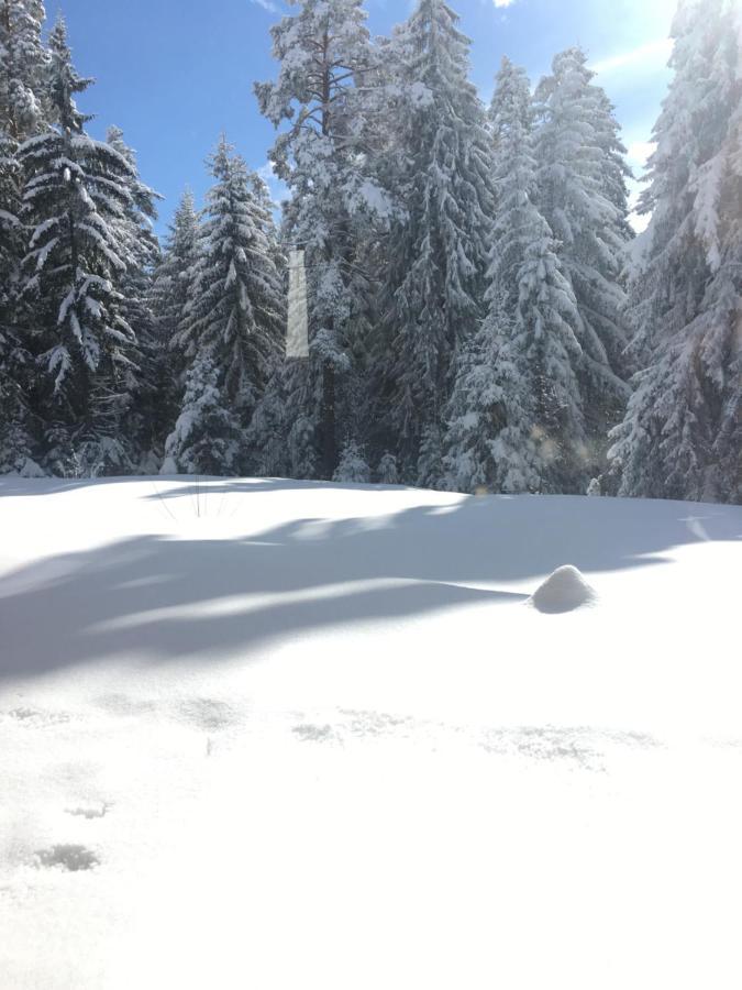 Borovets Chalets Exterior photo